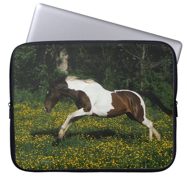 Capa Para Notebook Pinte o cavalo que funciona no campo das flores (Frente)