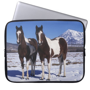 Capa Para Notebook Pinte os cavalos que estão na neve