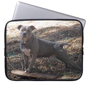 Capa Para Notebook Pitbull com Bolsa de laptop de skate