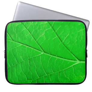 Capa Para Notebook Plano de fundo da planta de ecologia de folha verd