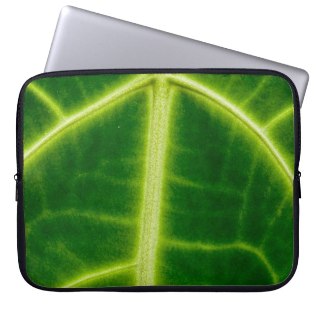 Capa Para Notebook Planta de folhas verdes (Frente)