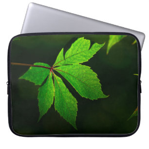 Capa Para Notebook Planta de textura de veias de folha