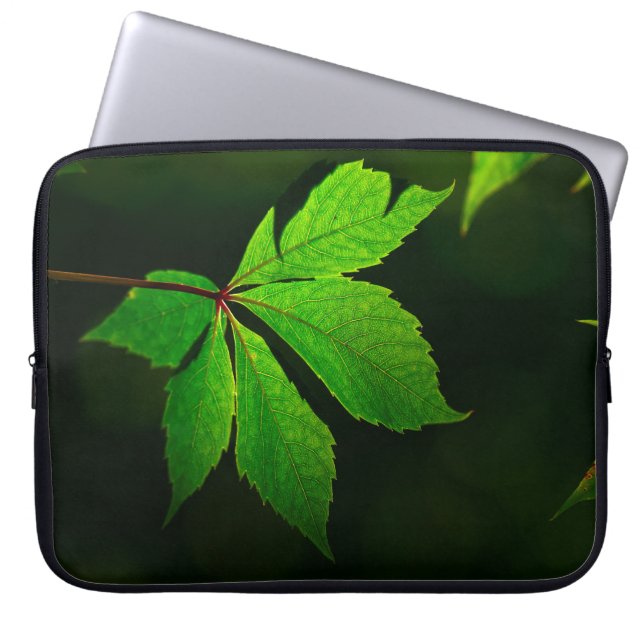 Capa Para Notebook Planta de textura de veias de folha (Frente)
