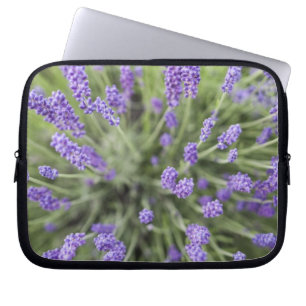 Capa Para Notebook Plantas de lavanda