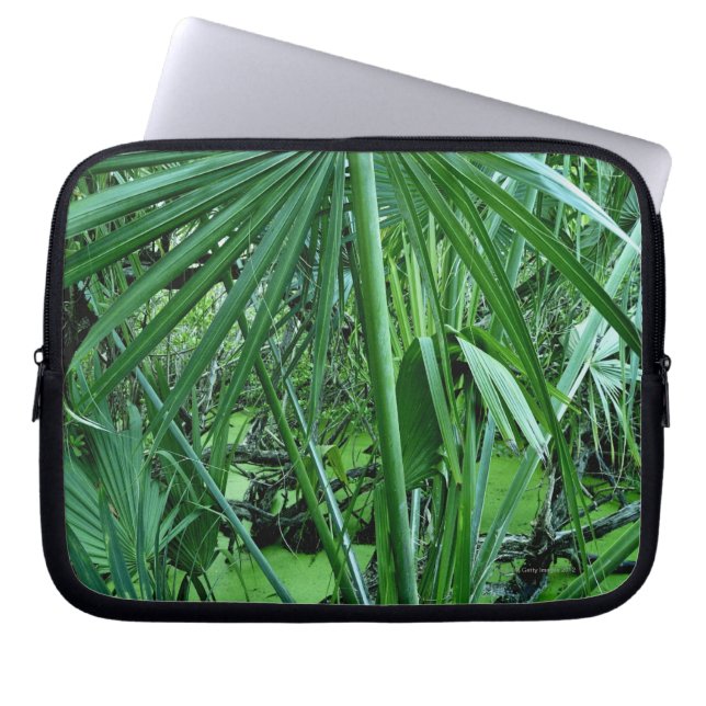 Capa Para Notebook Plantas tropicais na lagoa de sal (Frente)