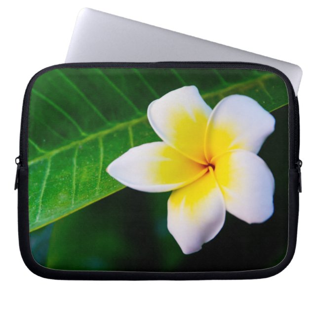 Capa Para Notebook Plumeria (Frente)