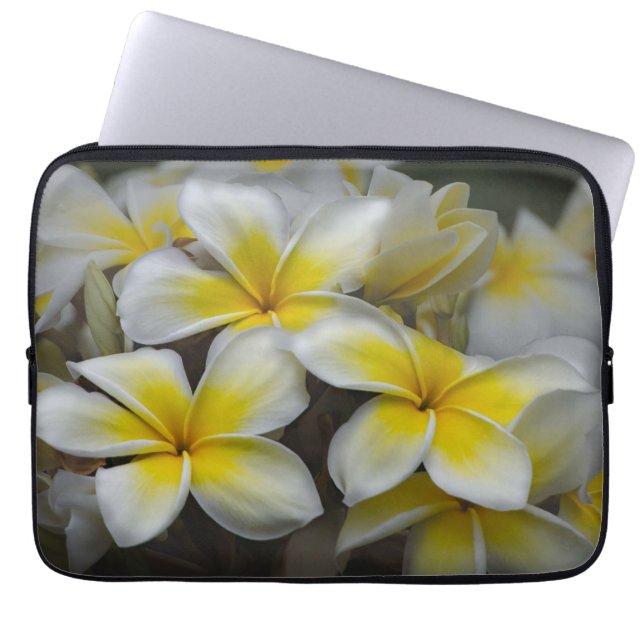 Capa Para Notebook Plumeria, Fotografia de Flor Amarela (Frente)