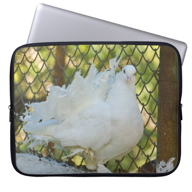 Capa Para Notebook Pombo branco do fantail (Frente)