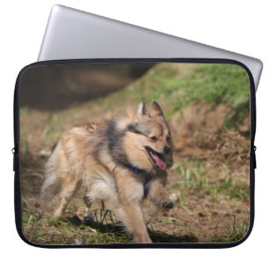 Capa Para Notebook Pomeranian que funciona com chicote de fios sobre