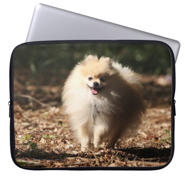 Capa Para Notebook Pomeranian que trota nas folhas caídas (Frente)