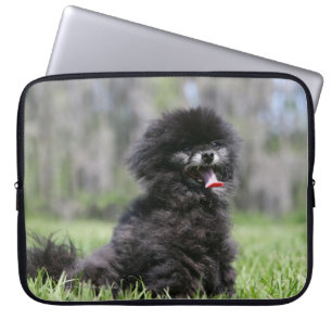 Capa Para Notebook Pomeranian superior preto
