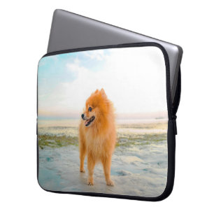 Capa Para Notebook Pomeraniano Laranja-Cute na Praia