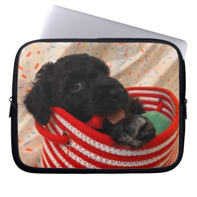 Capa Para Notebook Portuguese Water Dog Laptop Sleeve (Frente)