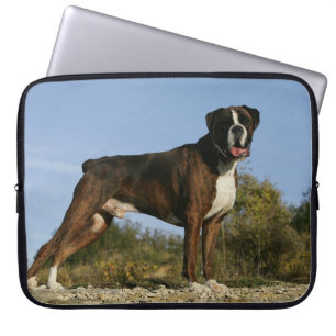 Capa Para Notebook Posição da exposição de cães do pugilista