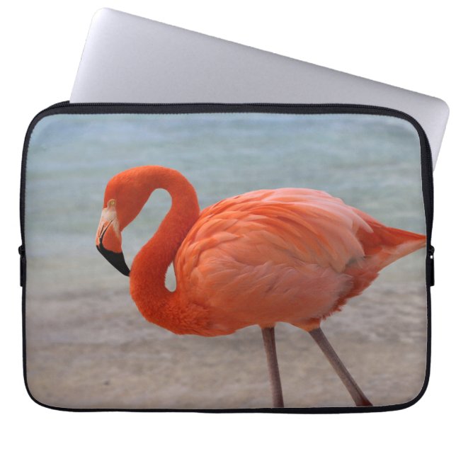 Capa Para Notebook Praias Tropicais | Caribe Flamingo, Aruba (Frente)