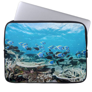 Capa Para Notebook Praias Tropicais   Sturgeon Entre Coral