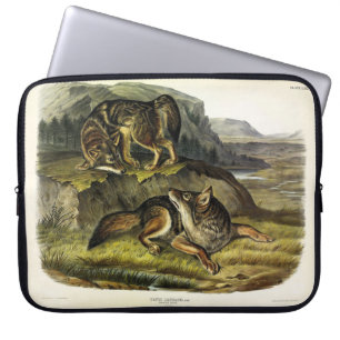 Capa Para Notebook Prairie Wolf (Coyote) dos Quadrupeds de Audubon