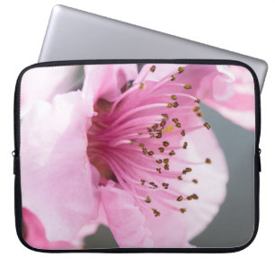 Capa Para Notebook Primavera florescendo