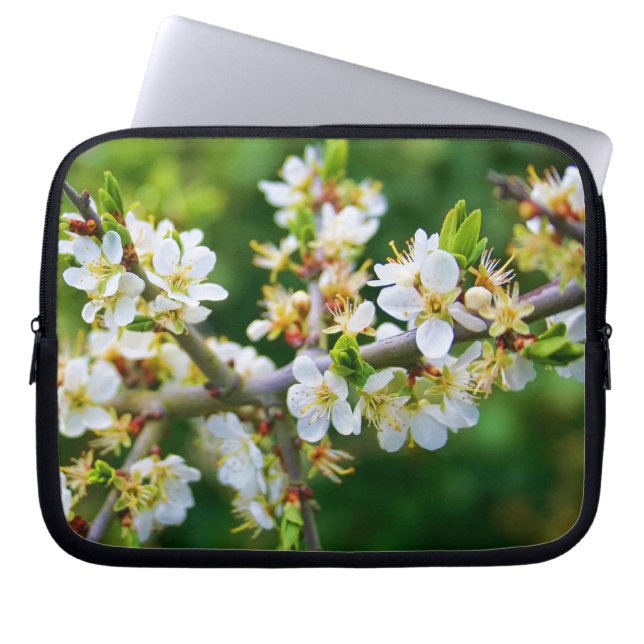 Capa Para Notebook Primavera Hawthorn Dappelida do Sol (Frente)