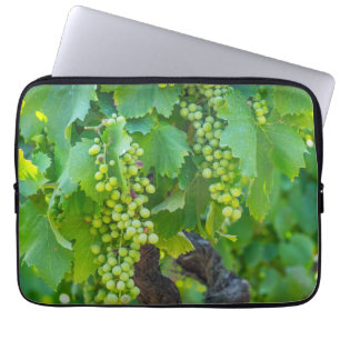 Capa Para Notebook Primeiro Plano de Uvas Maduras