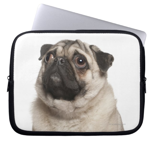 Capa Para Notebook Pug (13 meses) olhando para cima (Frente)