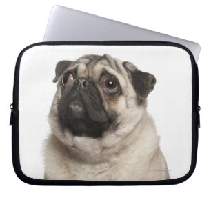 Capa Para Notebook Pug (13 meses velho) que olha acima