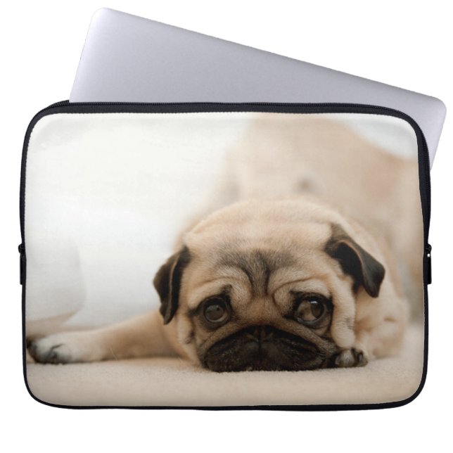 Capa Para Notebook Pug da fêmea de Tan (Frente)