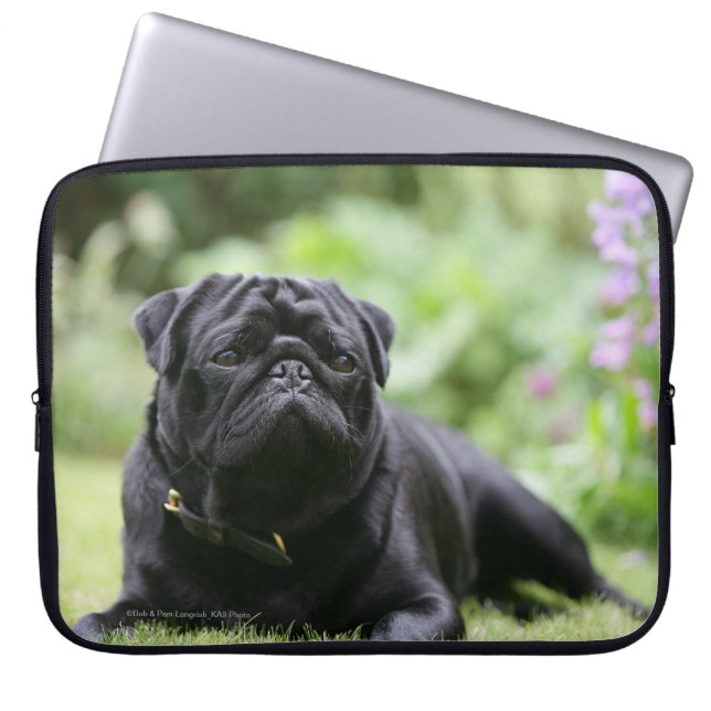 Capa Para Notebook Pug preto que estabelece (Frente)