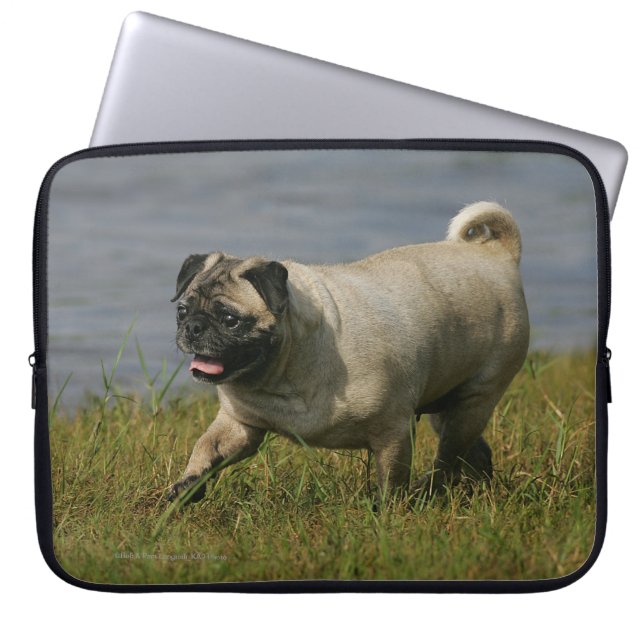 Capa Para Notebook Pug que joga perto da água (Frente)