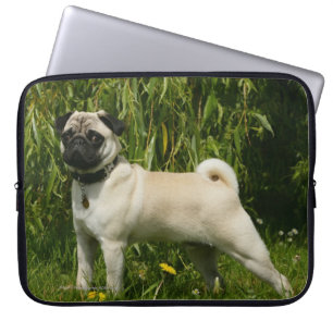 Capa Para Notebook Pug que olha a câmera
