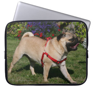 Capa Para Notebook Pug que veste o chicote de fios vermelho
