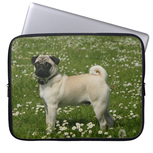 Capa Para Notebook Pug Tocando em Flores (Frente)