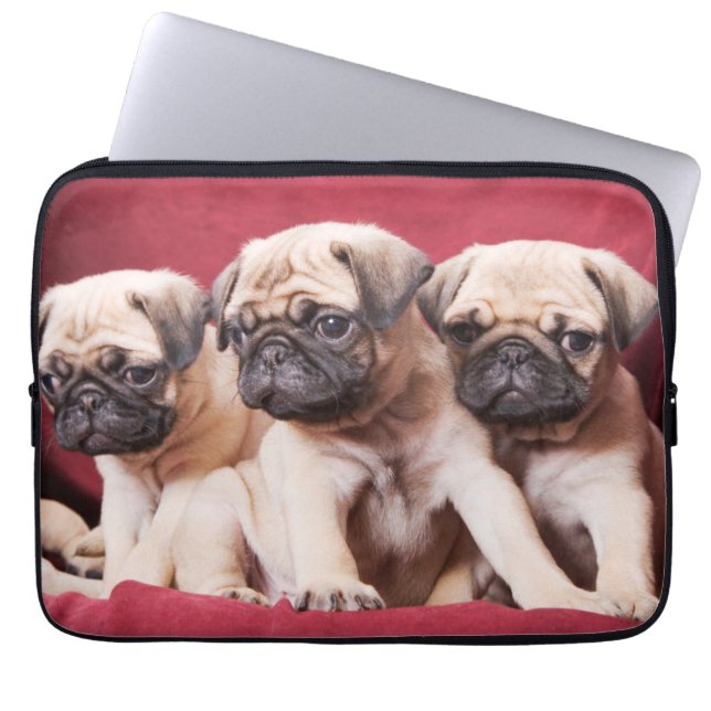 Capa Para Notebook Pug Triplets (Frente)