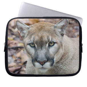 Capa Para Notebook Puma, leão-da-montanha, pantera-da-flórida, Puma