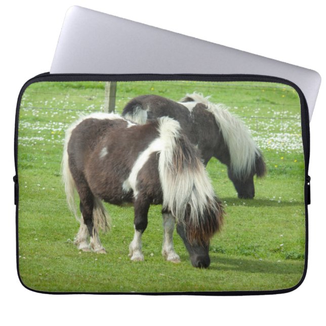 Capa Para Notebook Purebred Shetland Paint Ponies (Frente)