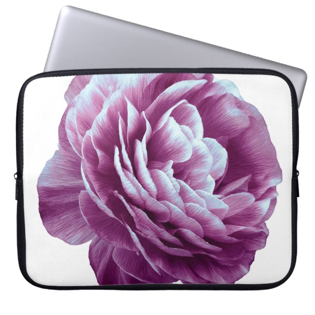 Capa Para Notebook Púrpura de rosa de colheita. Flor isolada em que (Frente)