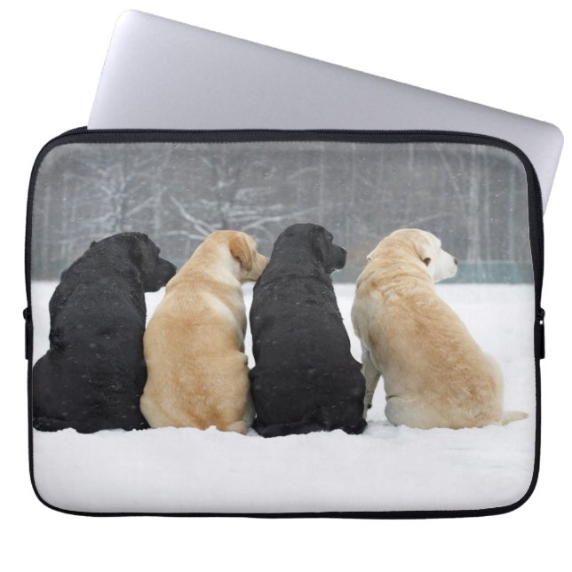 Capa Para Notebook Quatro Cães Labradores Na Neve (Frente)