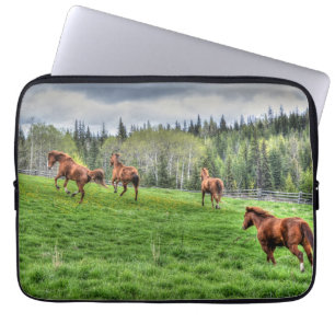 Capa Para Notebook Quatro Cavalos em Grama Fresca numa Paddock