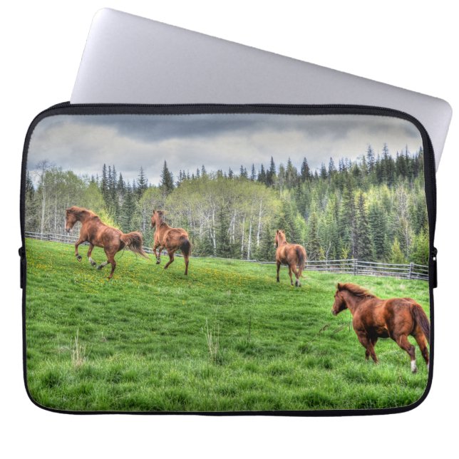 Capa Para Notebook Quatro Cavalos em Grama Fresca numa Paddock (Frente)