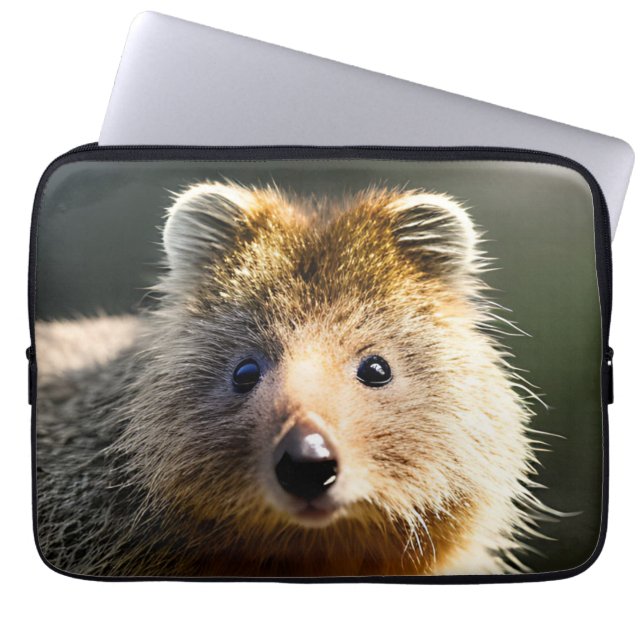 Capa Para Notebook Quintin The Ginger Quokka, Bolsa de laptop (Frente)