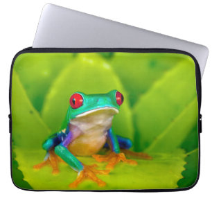 Capa Para Notebook Rã de olhos vermelhos, Costa Rica