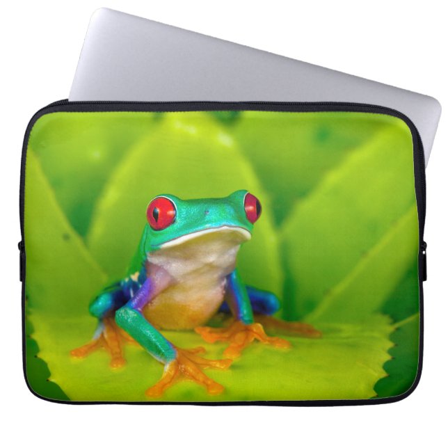 Capa Para Notebook Rã de olhos vermelhos, Costa Rica (Frente)