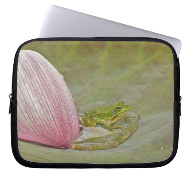 Capa Para Notebook Rã e pétala de flor de lótus, China, (Frente)
