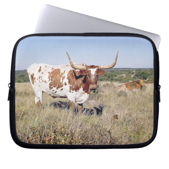 Capa Para Notebook Raça de Texas Longhorn (foto) (Frente)