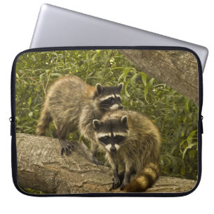 Capa Para Notebook Raccoons