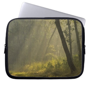 Capa Para Notebook Raios de luz da manhã através das árvores na selva