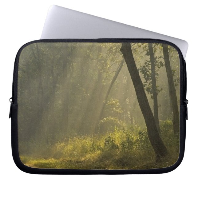Capa Para Notebook Raios de luz da manhã através das árvores na selva (Frente)
