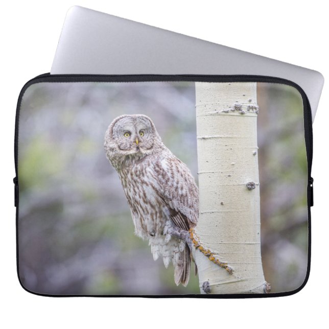 Capa Para Notebook Ramificação da Árvore de excelente da Cinza (Frente)