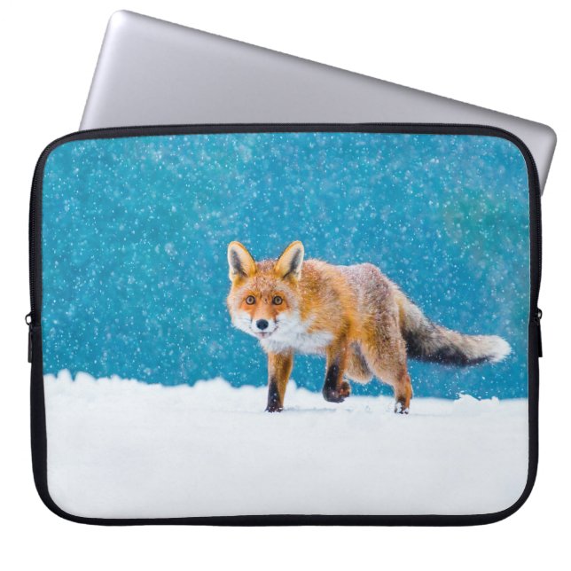 Capa Para Notebook Raposa no inverno. Raposa vermelha, Vulpes vulpes, (Frente)
