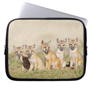 Capa Para Notebook Raposa Veloz (Vulpes macrotis) jovem na toca da co